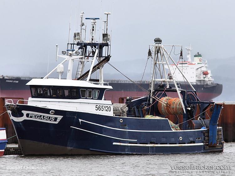 Pegasus - Bulk Carrier vessel registered in Cyprus
