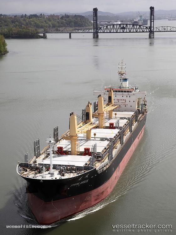 Sunny-Hong - Bulk Carrier vessel registered in Panama