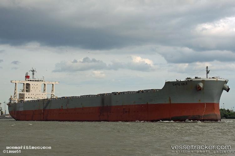 Cape-Lily - Bulk Carrier vessel registered in Singapore