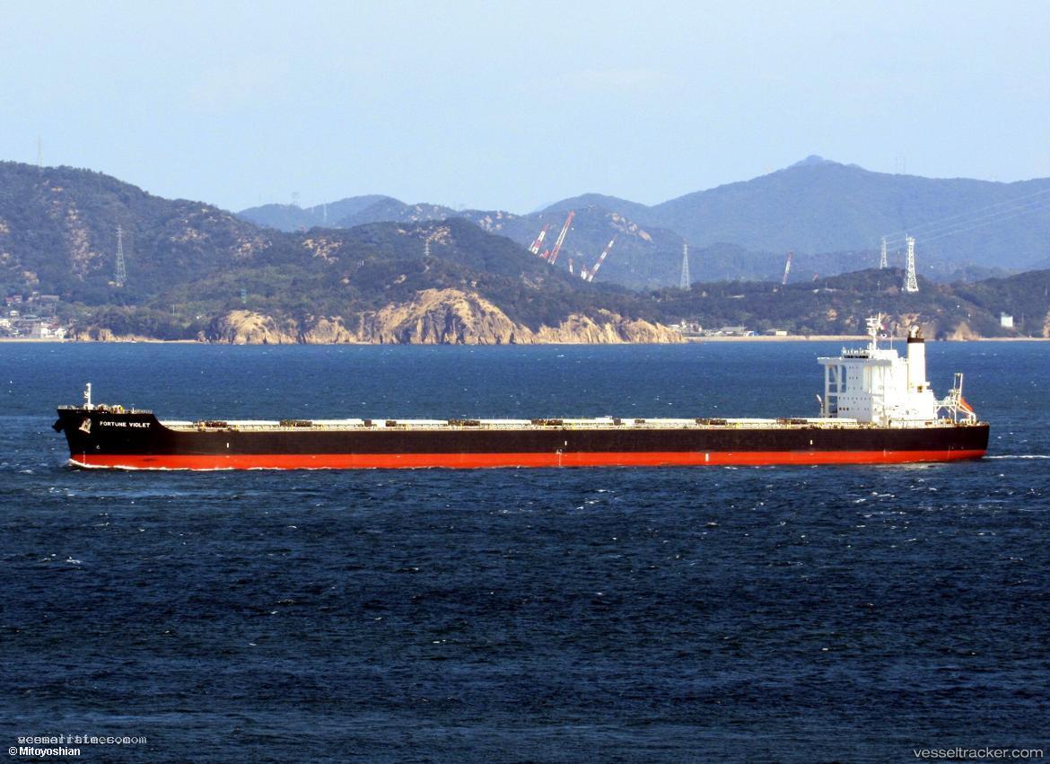 Fortune-Violet - Bulk Carrier vessel registered in Hong Kong
