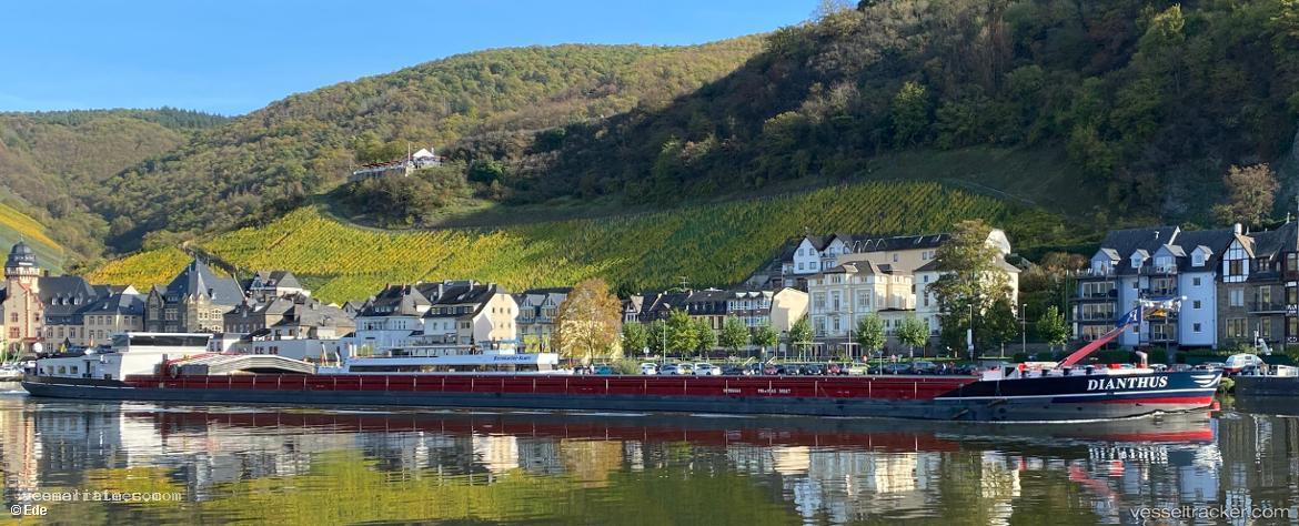 Dianthus - Bulk Carrier vessel registered in Panama