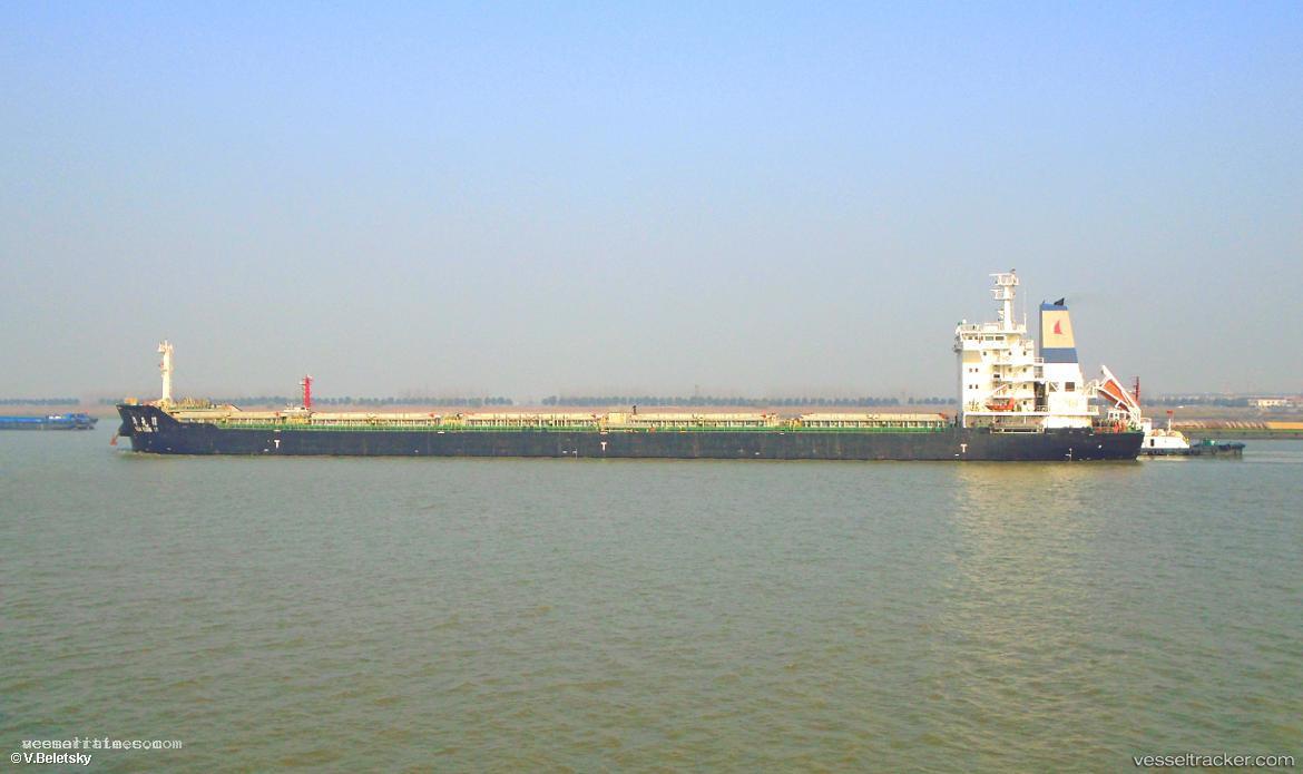 Yangze-31 - Bulk Carrier vessel registered in Singapore
