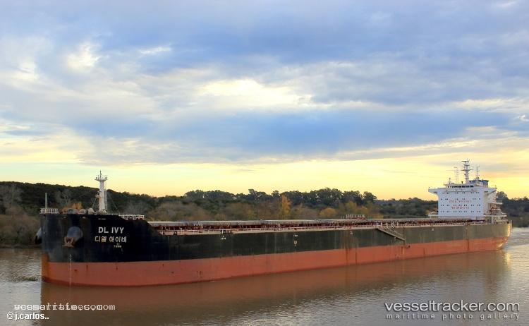 Xin-Hai-Tong-805 - Bulk Carrier vessel registered in Marshall Islands