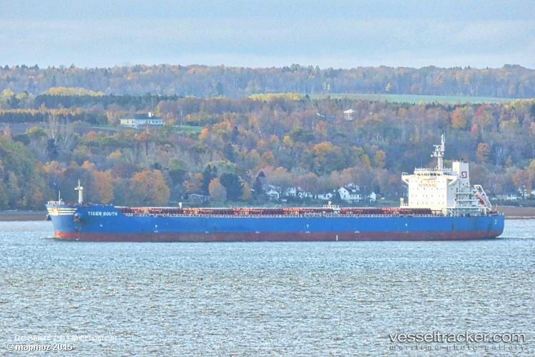Tiger-South - Bulk Carrier vessel registered in Hong Kong