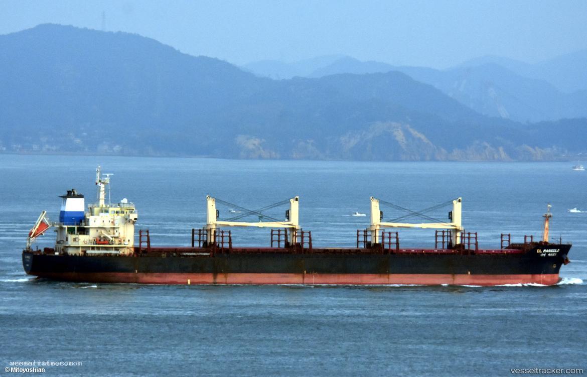 Lefteris-T - Bulk Carrier vessel registered in Marshall Islands