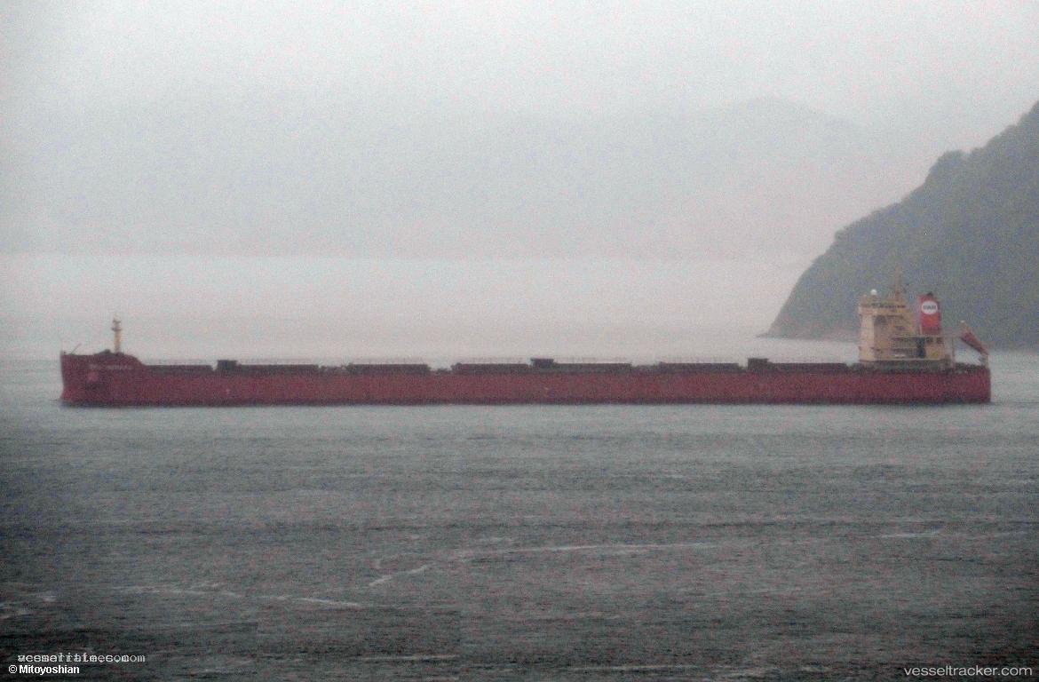 Pan-Mutiara - Bulk Carrier vessel registered in South Korea