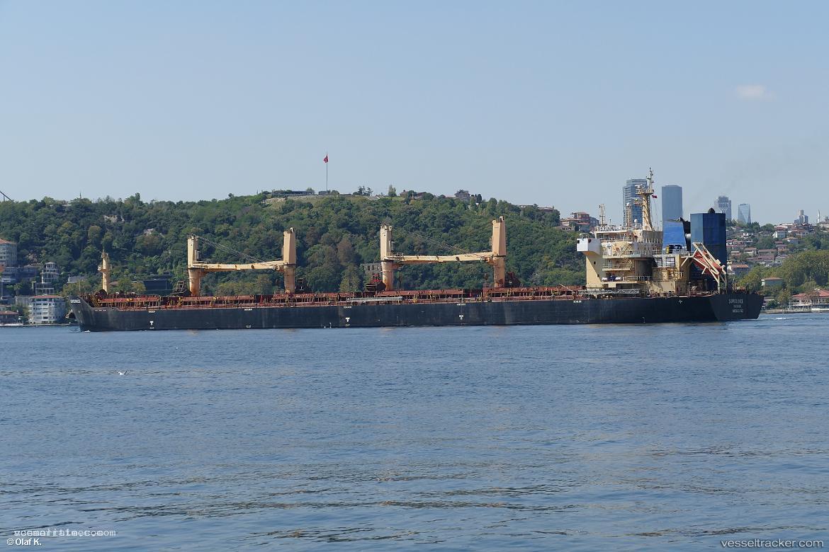 Super-Rice - Bulk Carrier vessel registered in Panama