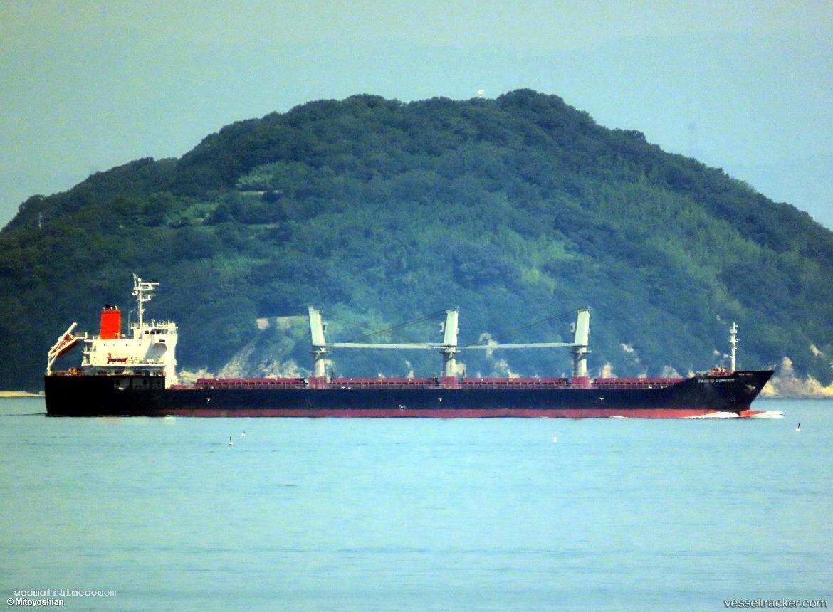 Pacific-Comrade - Bulk Carrier vessel registered in Panama