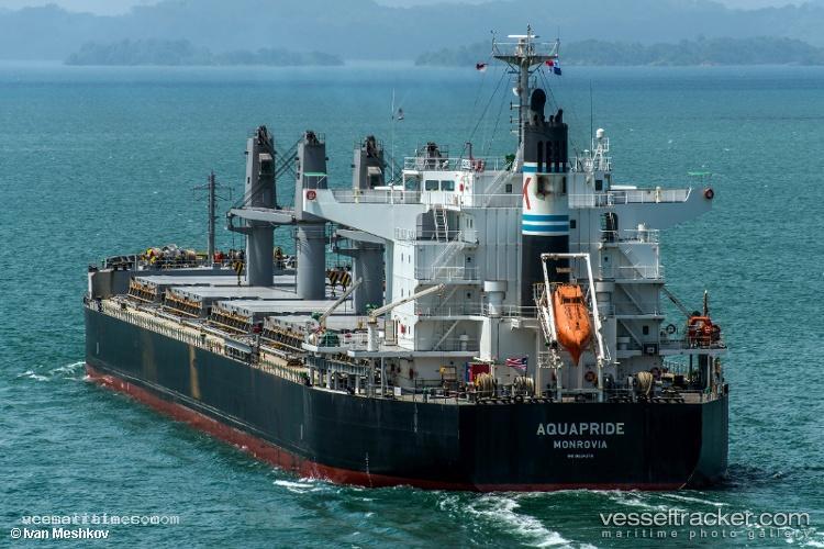 Ocean-Begonia - Bulk Carrier vessel registered in Liberia