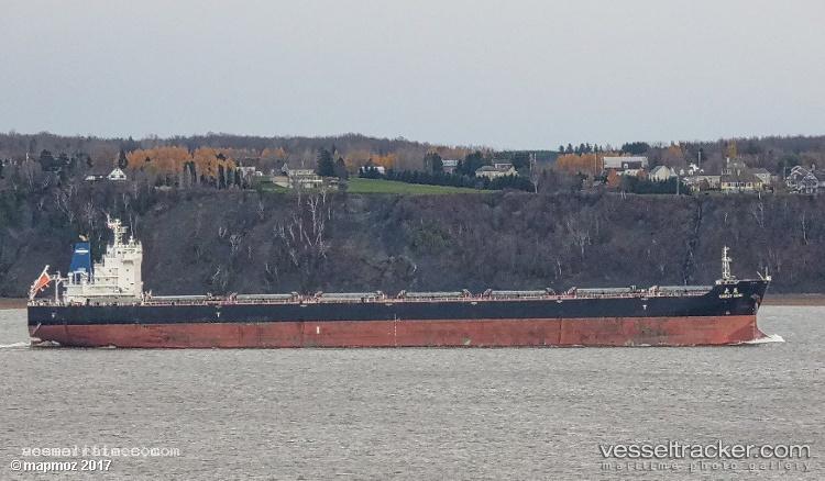 Great-Mind - Bulk Carrier vessel registered in Hong Kong
