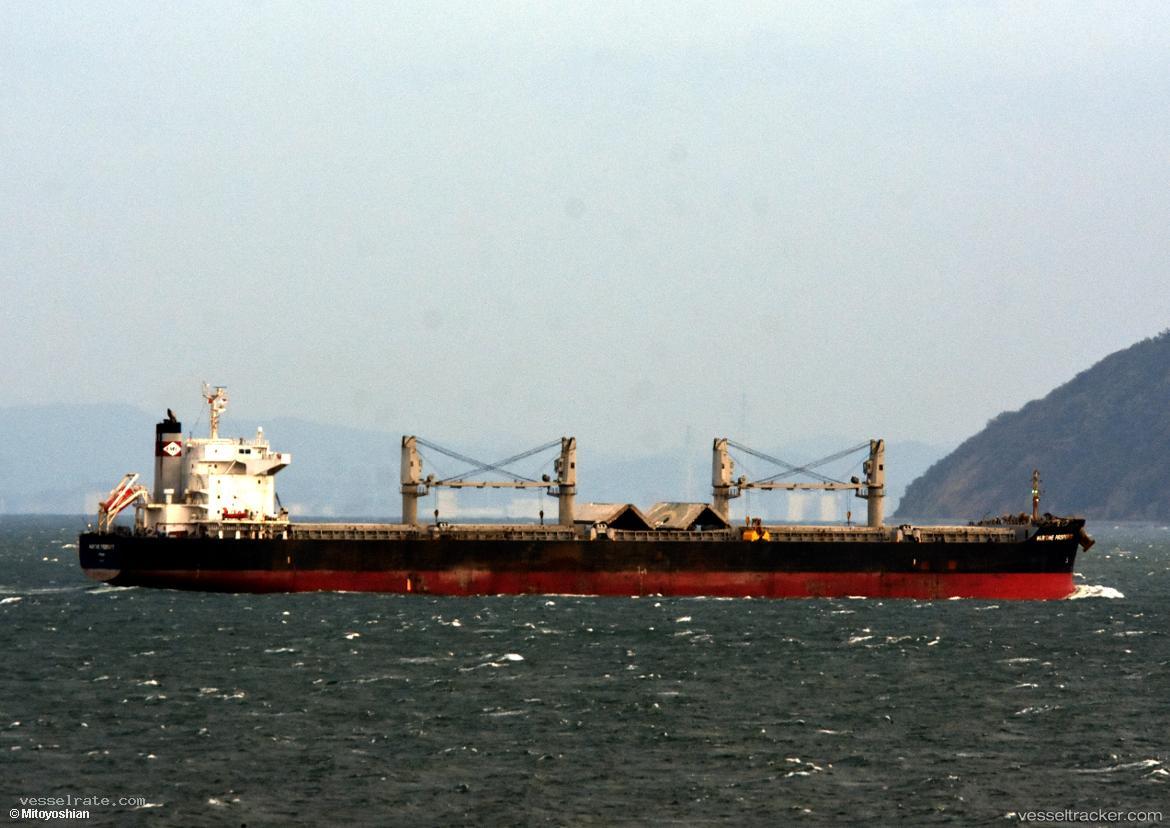 Amore - Bulk Carrier
