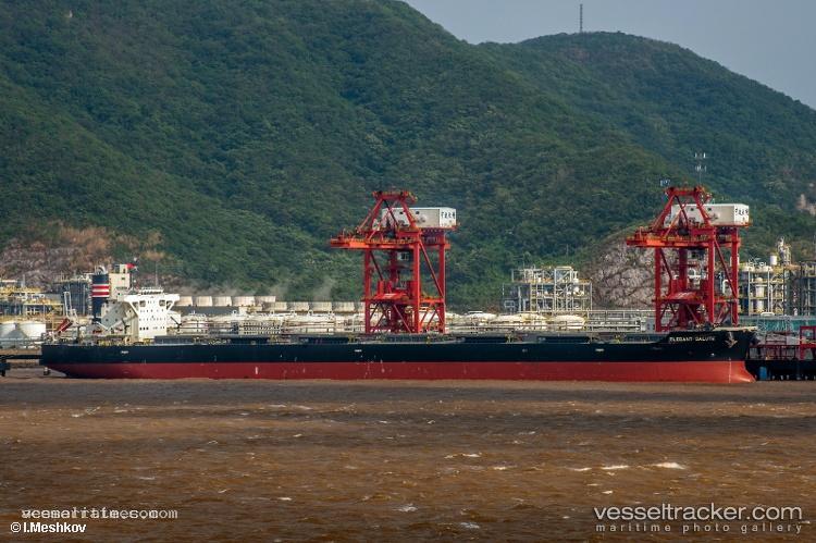 Elegant-Salute - Bulk Carrier vessel registered in Japan