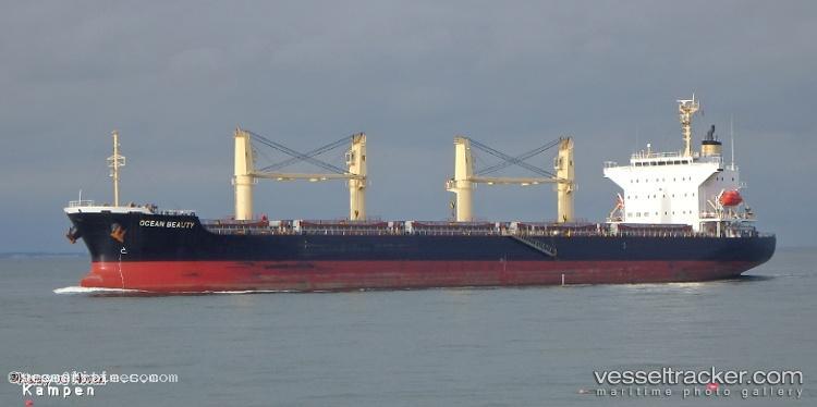 Ocean-Beauty - Bulk Carrier vessel registered in Hong Kong