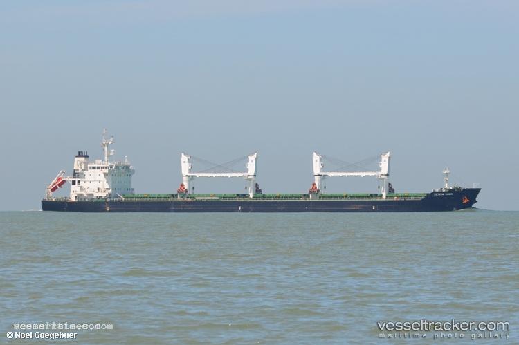 Densa-Hawk - Bulk Carrier vessel registered in Malta
