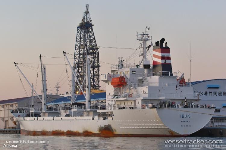 Ibuki - Refrigerated Cargo Ship vessel registered in Panama