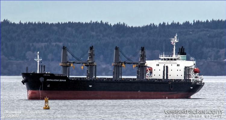 Amethyst - Bulk Carrier