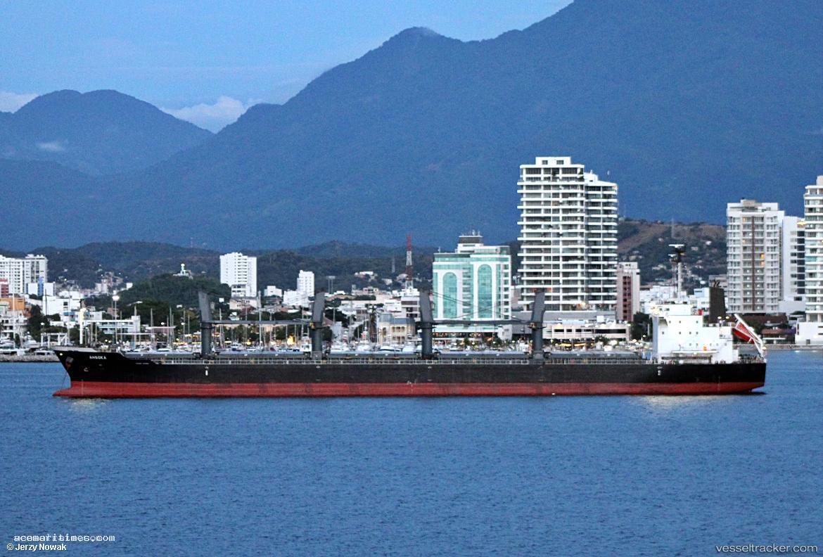 Ahsoka - Bulk Carrier