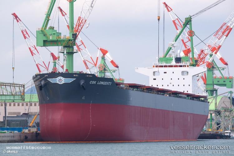 Csk-Longevity - Bulk Carrier vessel registered in Singapore