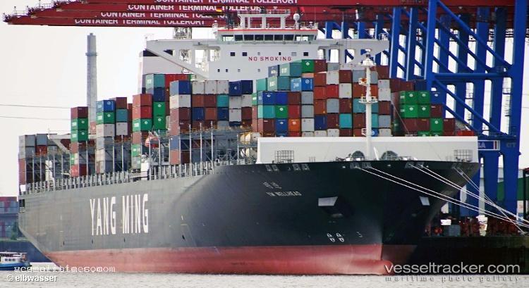 Ym-Wellhead - Container Ship vessel registered in Hong Kong