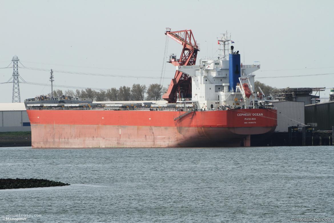 Cepheus-Ocean - Bulk Carrier vessel registered in Panama