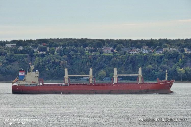 Strategic-Savannah - Bulk Carrier vessel registered in Singapore