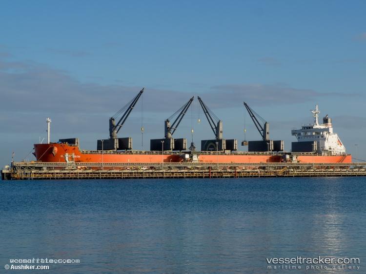 Global-Vision - Bulk Carrier vessel registered in Panama
