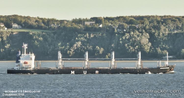 African-Harrier - Bulk Carrier vessel registered in Bahamas