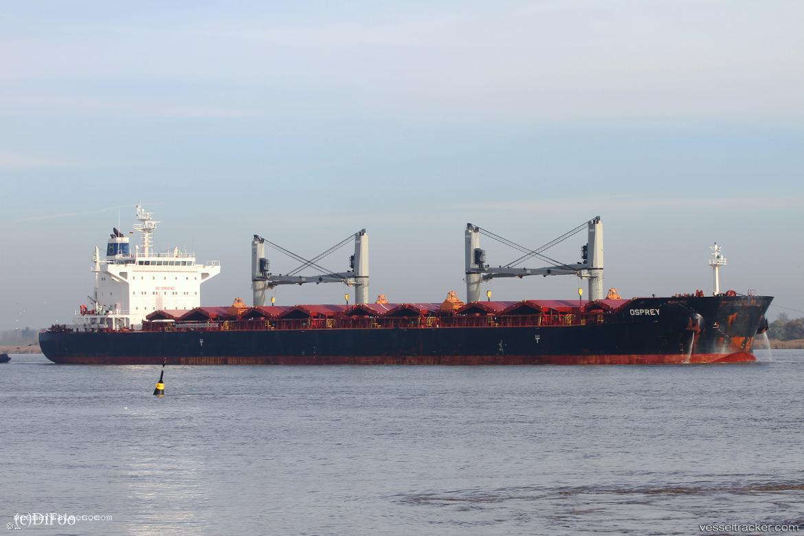 Osprey - Bulk Carrier vessel registered in Cyprus