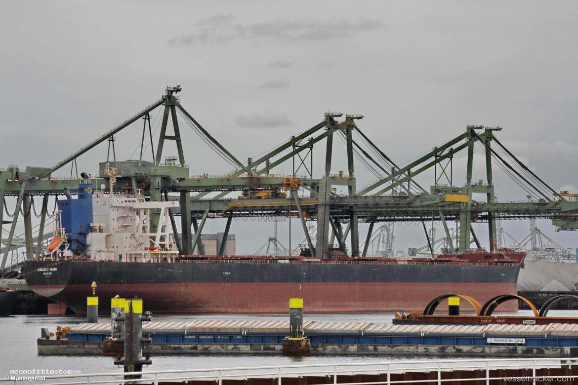 Golden-Kaki - Bulk Carrier vessel registered in Marshall Islands