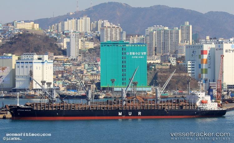 African-Merlin - Bulk Carrier vessel registered in Bahamas
