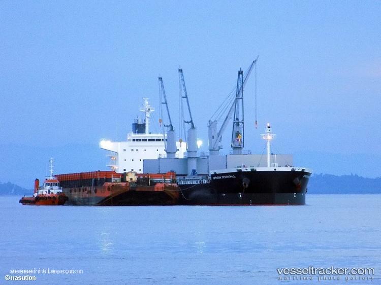Crimson-Spoonbill - Bulk Carrier vessel registered in Panama