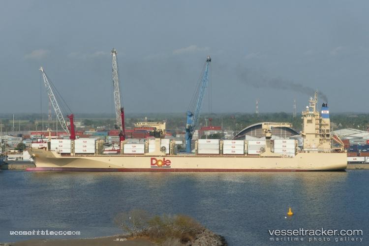 Dole-Caribbean - Container Ship vessel registered in Bahamas
