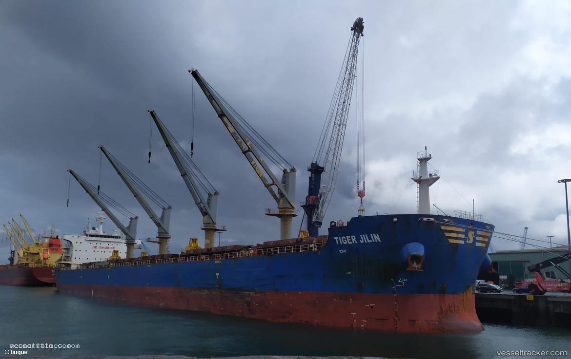 Tiger-Jilin - Bulk Carrier vessel registered in Hong Kong