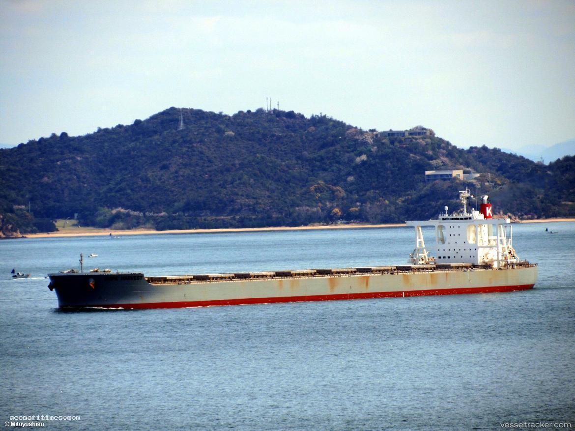 Cape-Harvest - Bulk Carrier vessel registered in Panama