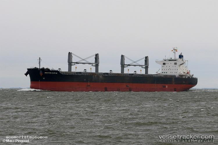 Ssi-Triumph - Bulk Carrier vessel registered in Marshall Islands