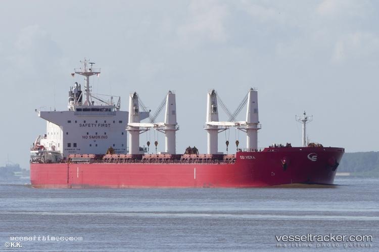 Yaya-Goose - Bulk Carrier vessel registered in Marshall Islands