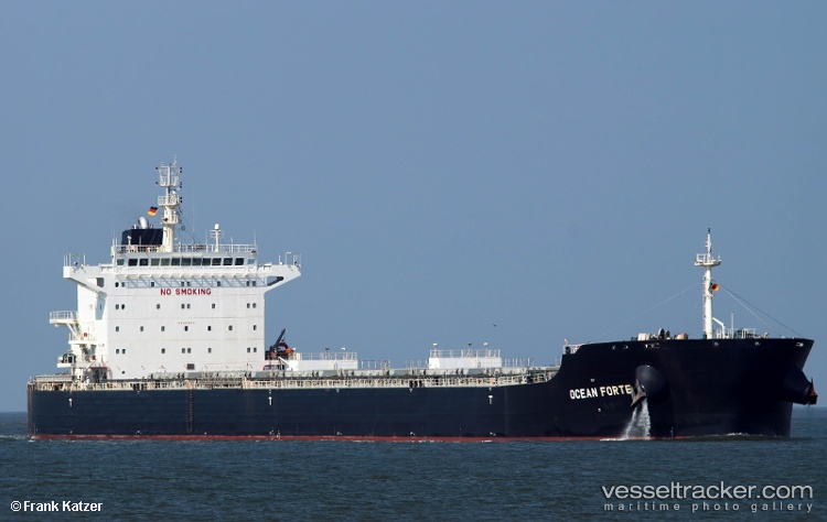 Arsinoe - Bulk Carrier vessel registered in Cyprus