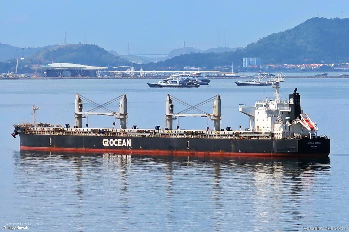 Betula-Arrow - General Cargo Ship vessel registered in Panama