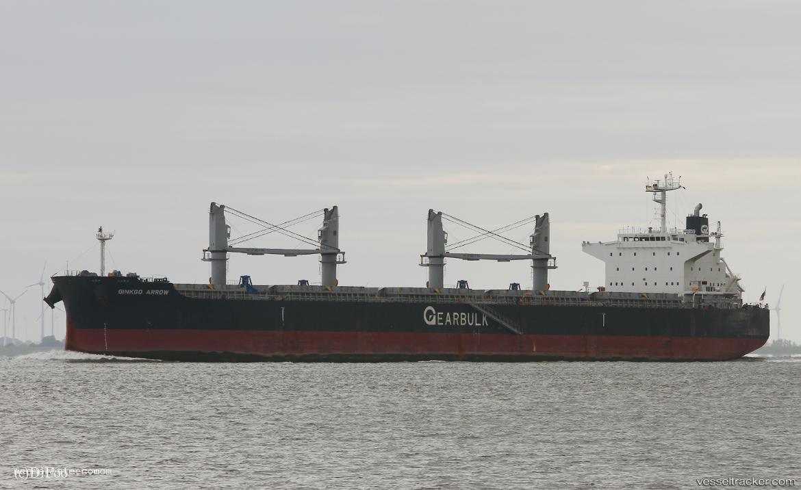 Ginkgo-Arrow - Bulk Carrier vessel registered in Panama