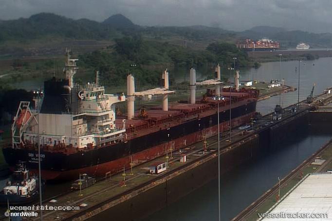 Star-Rotterdam - Bulk Carrier vessel registered in Liberia