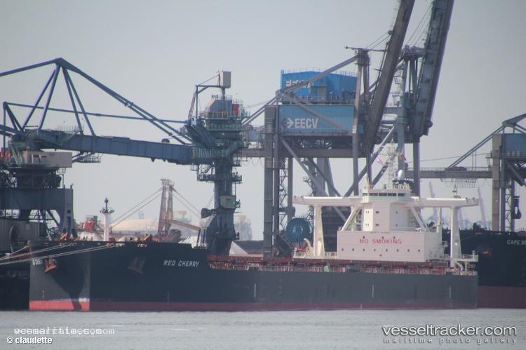 True-Compass - Bulk Carrier vessel registered in Liberia