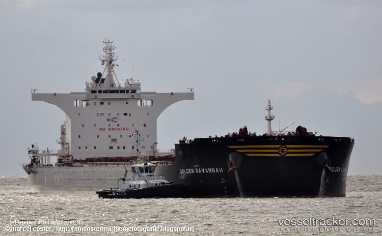 Golden-Savannah - Bulk Carrier vessel registered in Hong Kong