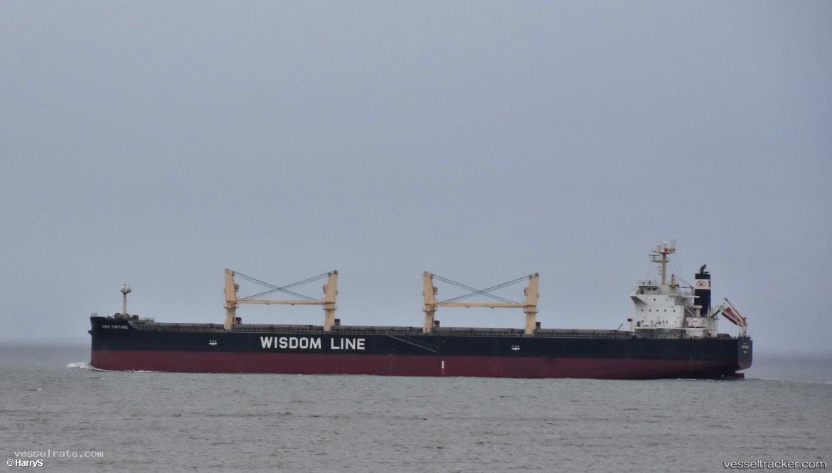 Amis-Fortune - Bulk Carrier