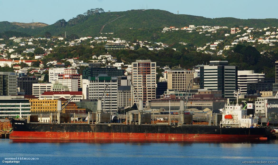 Xing-Ning-Hai - Bulk Carrier vessel registered in Hong Kong