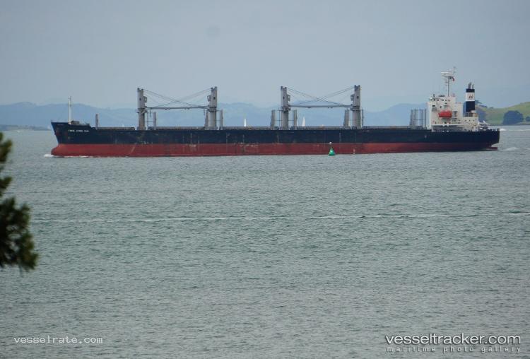 Amidala - Bulk Carrier