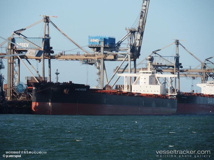True-Condor - Bulk Carrier vessel registered in Liberia
