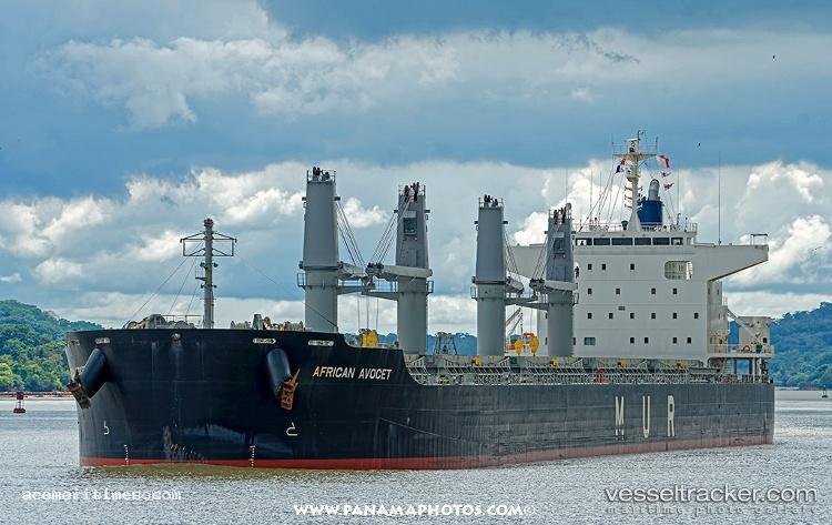 African-Avocet - Bulk Carrier vessel registered in Bahamas