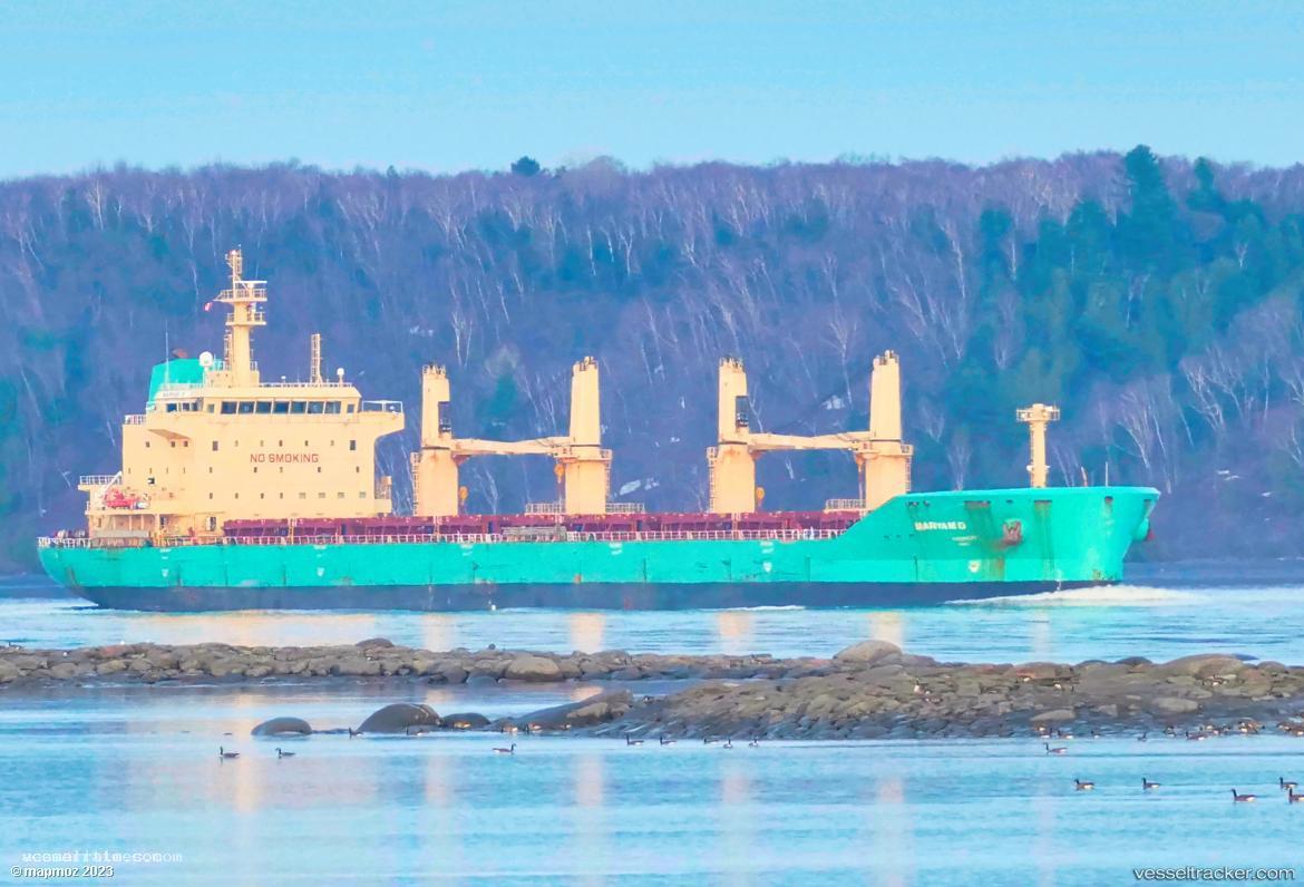 Maryam-D - Bulk Carrier vessel registered in Malta