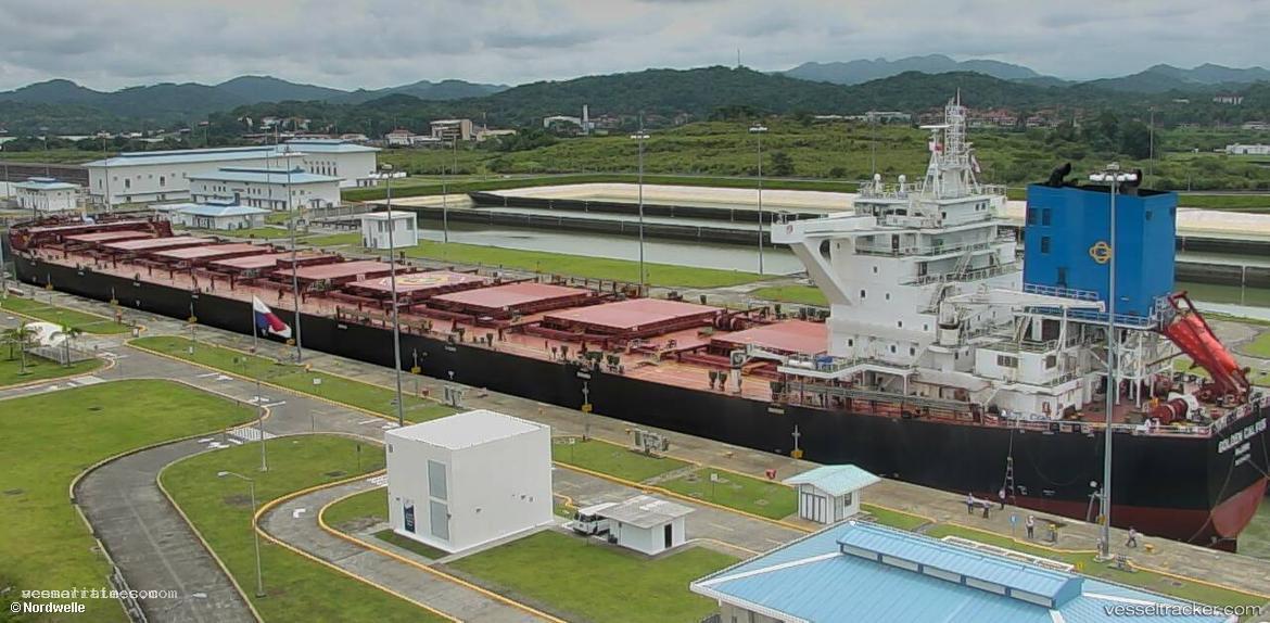 Golden-Calvus - Bulk Carrier vessel registered in Marshall Islands