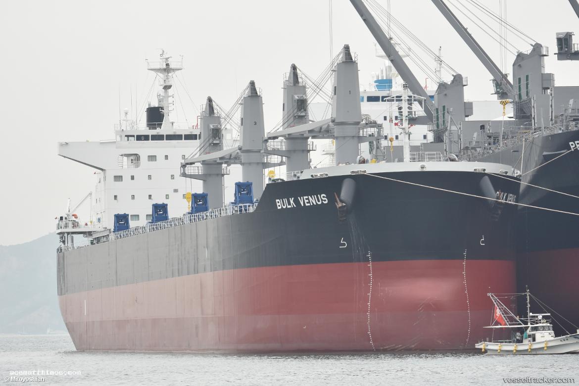 Bulk-Venus - Bulk Carrier vessel registered in Singapore